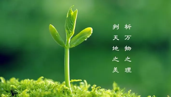 植樹節(jié)